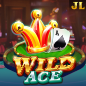 Wild Ace - Playtime APK slot